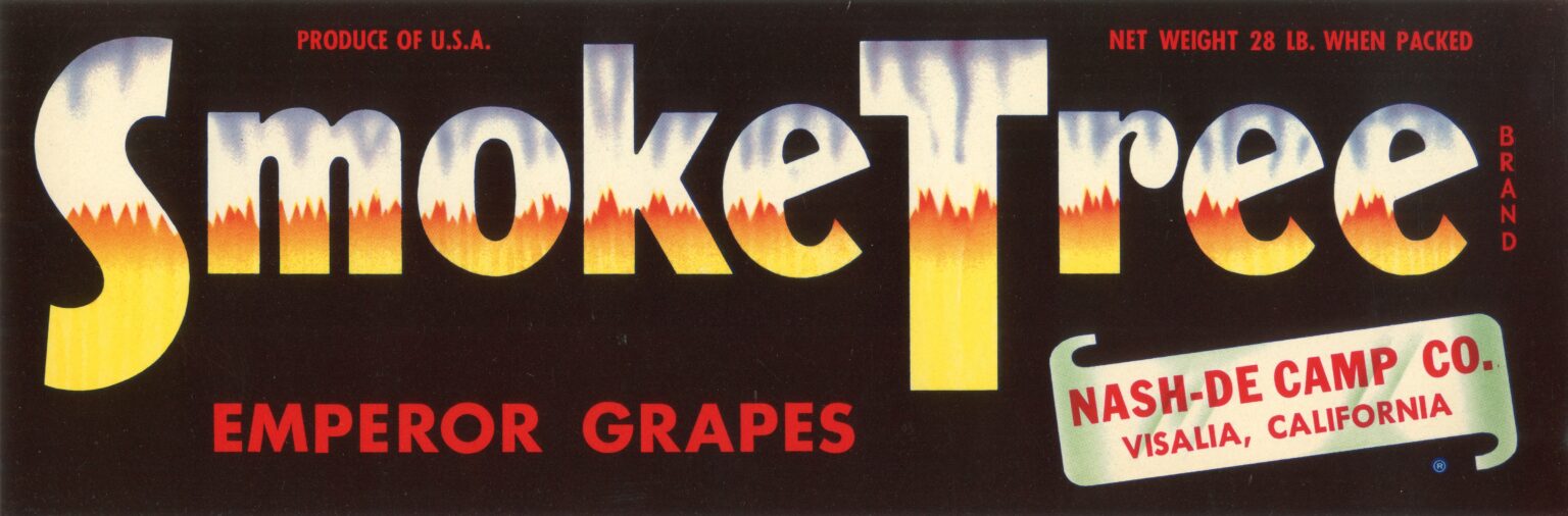 Smoke Tree Smoke Tree